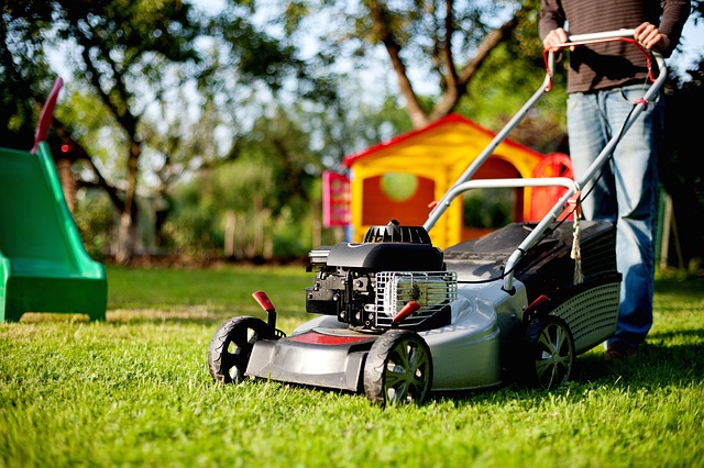 best petrol lawn mower in Australia