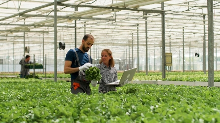 How Farm Sheds Support Efficient Agricultural Operations